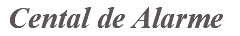 &nbsp;Cental de Alarme 
